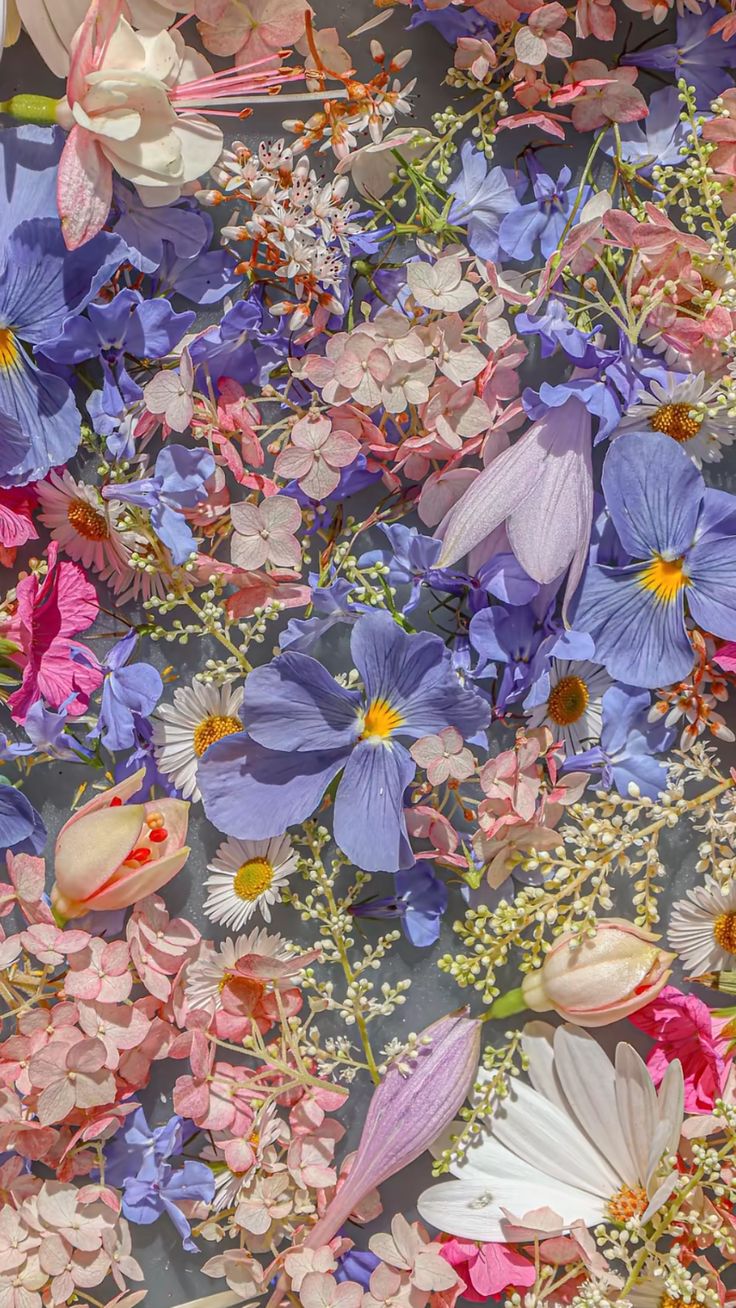 Hakkımda Fotoğrafı